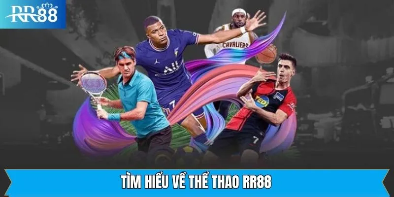 Vài nét về sảnh cá cược đầy kịch tính